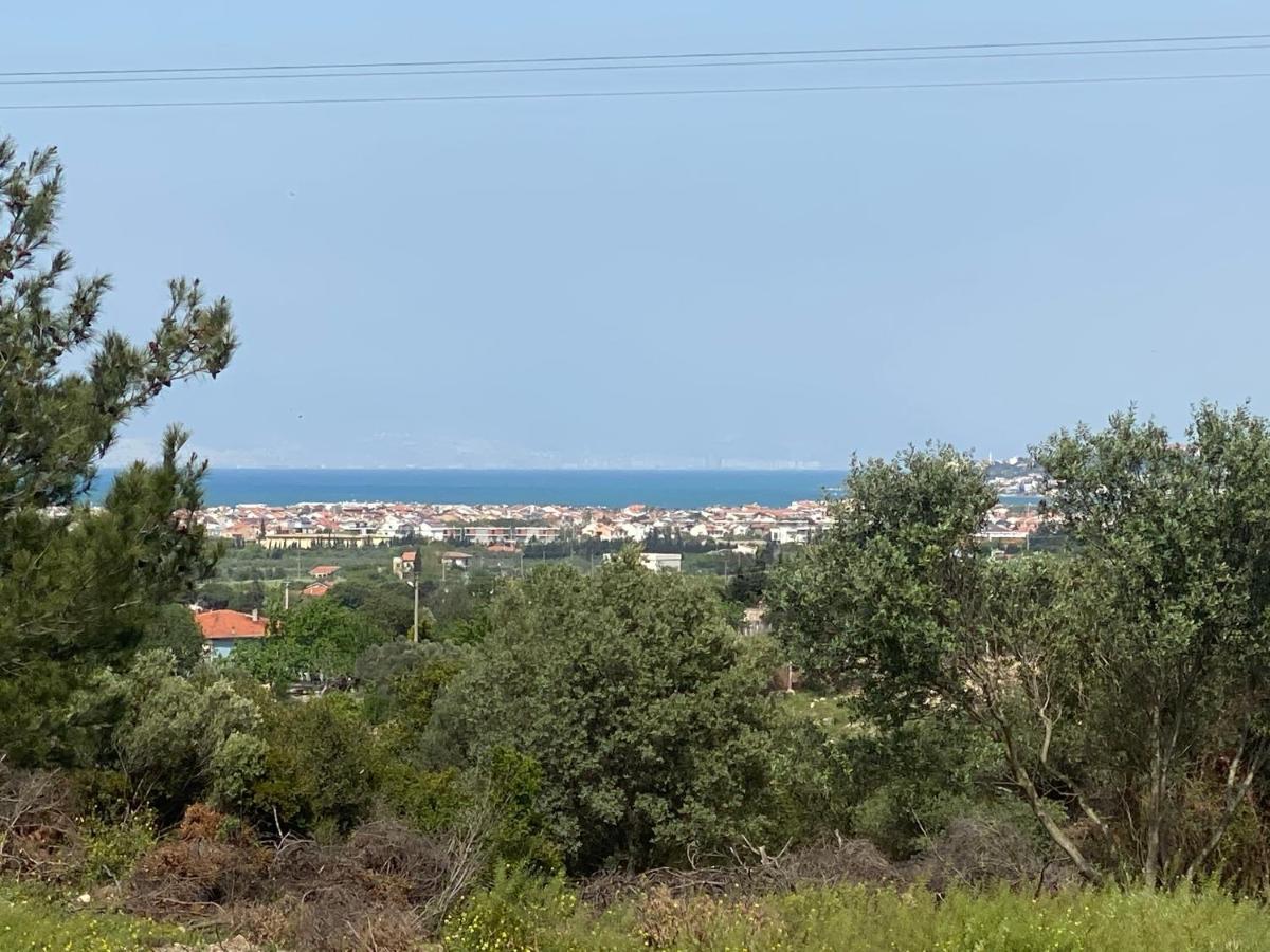 Nefes Urla Bungalov 3 Bagian luar foto