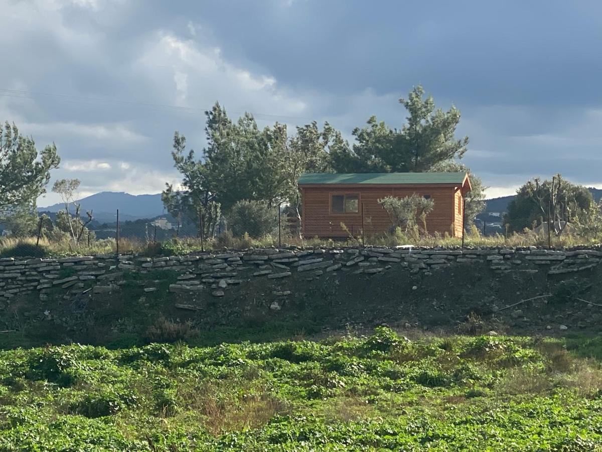 Nefes Urla Bungalov 3 Bagian luar foto